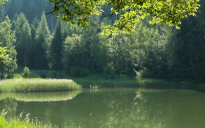 Envie de te détendre et de lâcher prise?