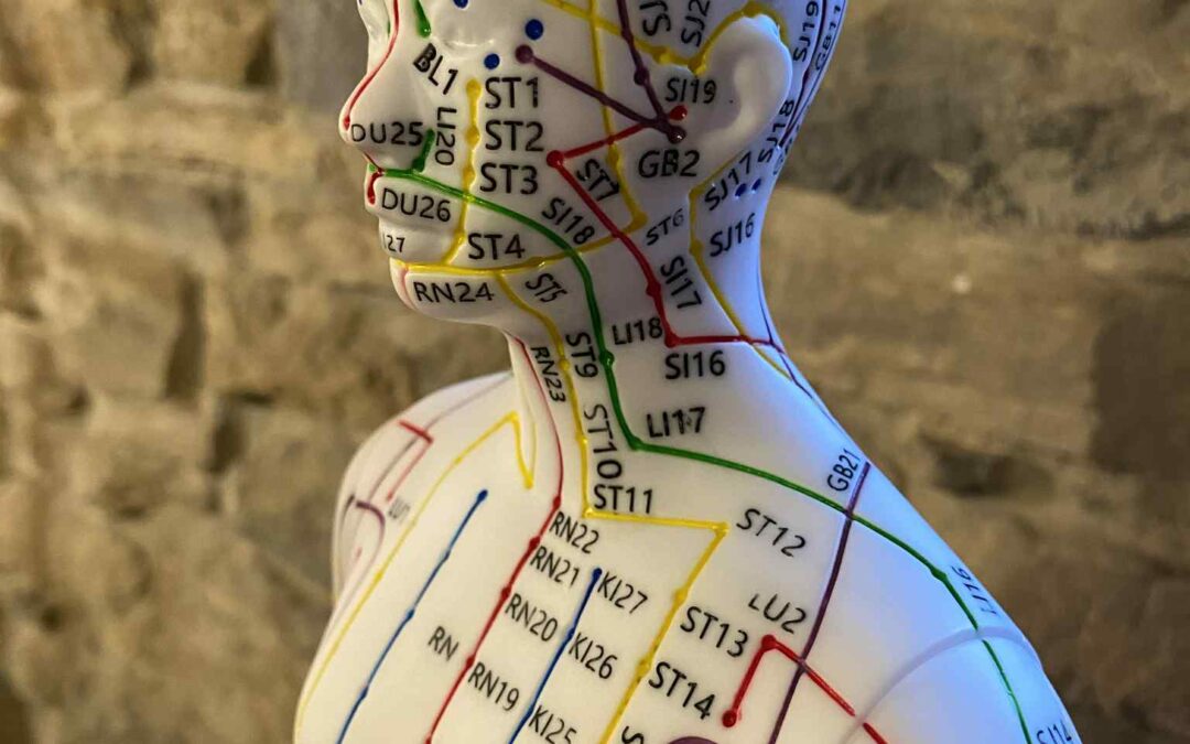 Les points d’EFT et les méridiens