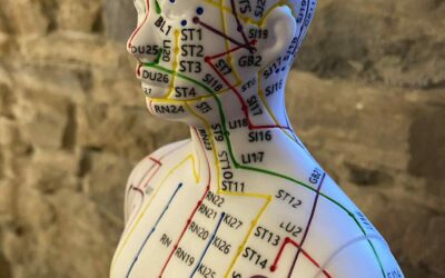 Les points d’EFT et les méridiens