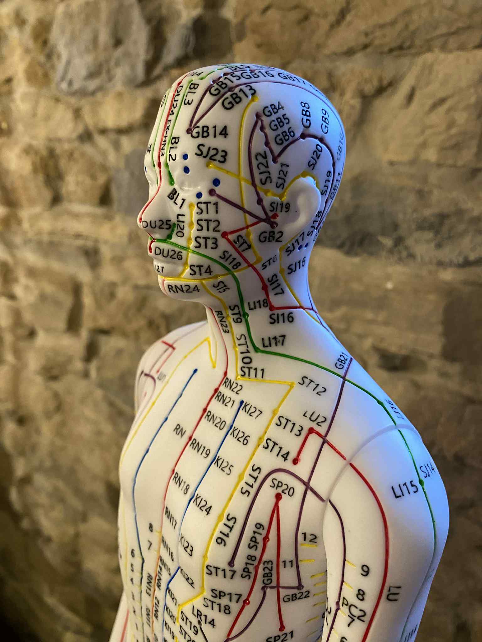 mannequin 1