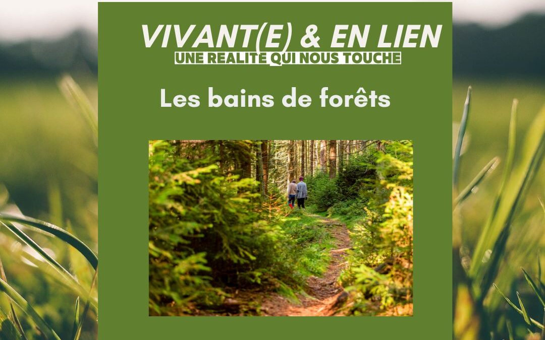 bain de forets
