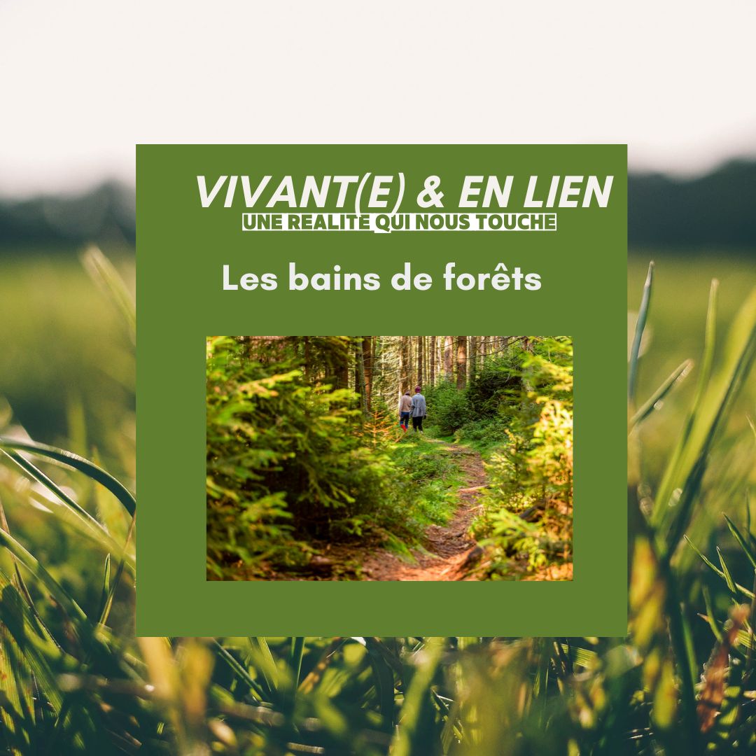 bain de forets