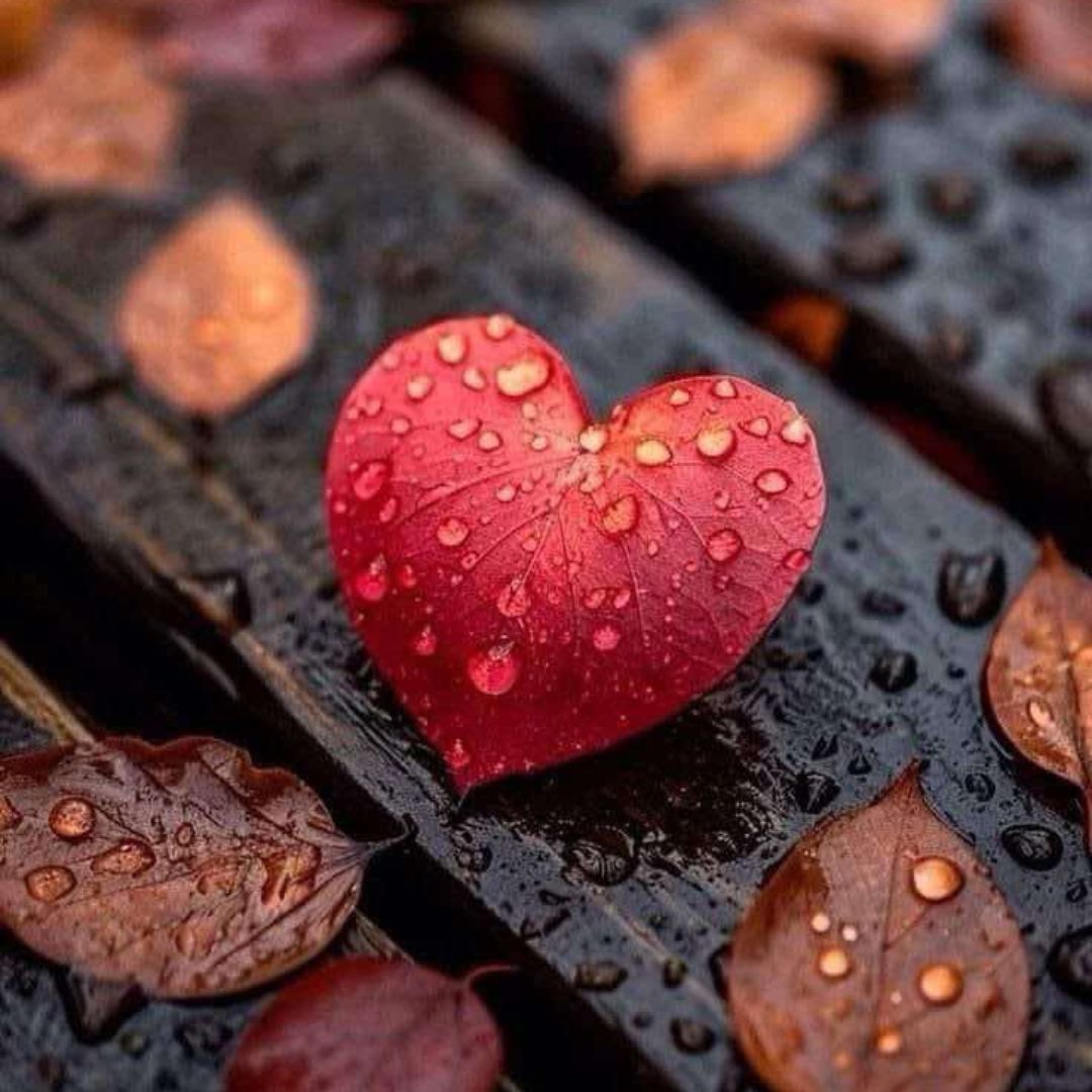 automne