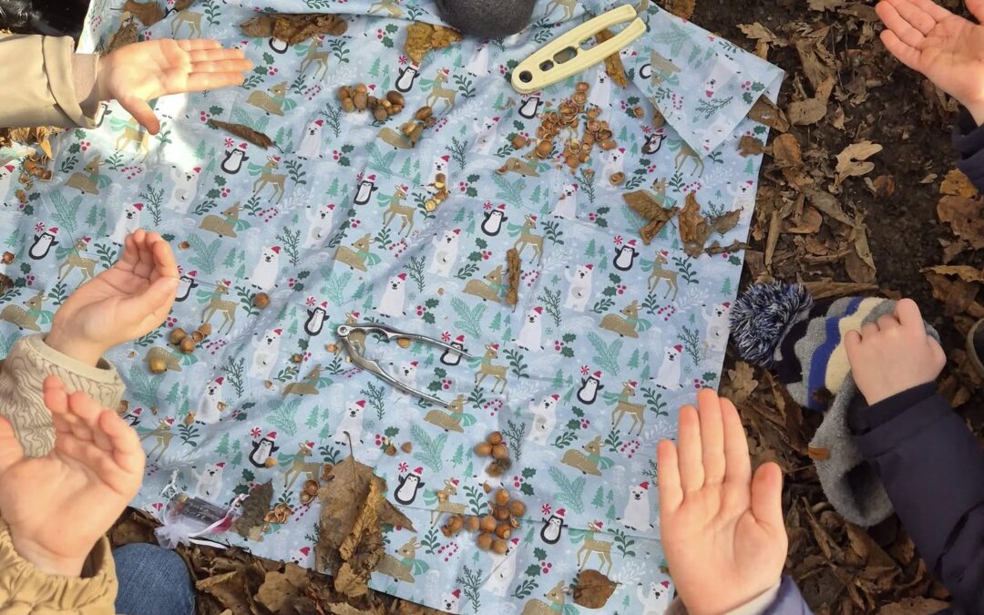 5 sens et moi, une aventure qui se concrétise