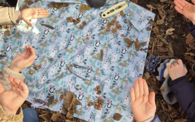 5 sens et moi, une aventure qui se concrétise