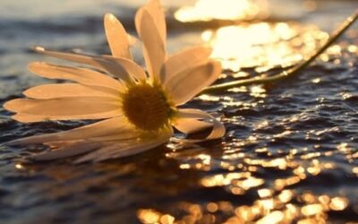 𝐋𝐞 𝐫𝐞𝐜𝐚𝐝𝐫𝐚𝐠𝐞 : 𝐜𝐡𝐨𝐢𝐬𝐢𝐫 𝐜𝐞 𝐪𝐮𝐢 𝐞́𝐜𝐥𝐚𝐢𝐫𝐞 𝐚𝐮 𝐥𝐢𝐞𝐮 𝐝𝐞 𝐜𝐞 𝐪𝐮𝐢 𝐚𝐬𝐬𝐨𝐦𝐛𝐫𝐢𝐭