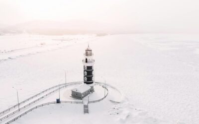 𝐑𝐚𝐥𝐞𝐧𝐭𝐢𝐫… 𝐮𝐧𝐞 𝐧𝐞́𝐜𝐞𝐬𝐬𝐢𝐭𝐞́ 𝐬𝐨𝐮𝐯𝐞𝐧𝐭 𝐨𝐮𝐛𝐥𝐢𝐞́𝐞.