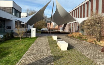 5ième module formation Cancer et retour au travail- Le stress de la reprise