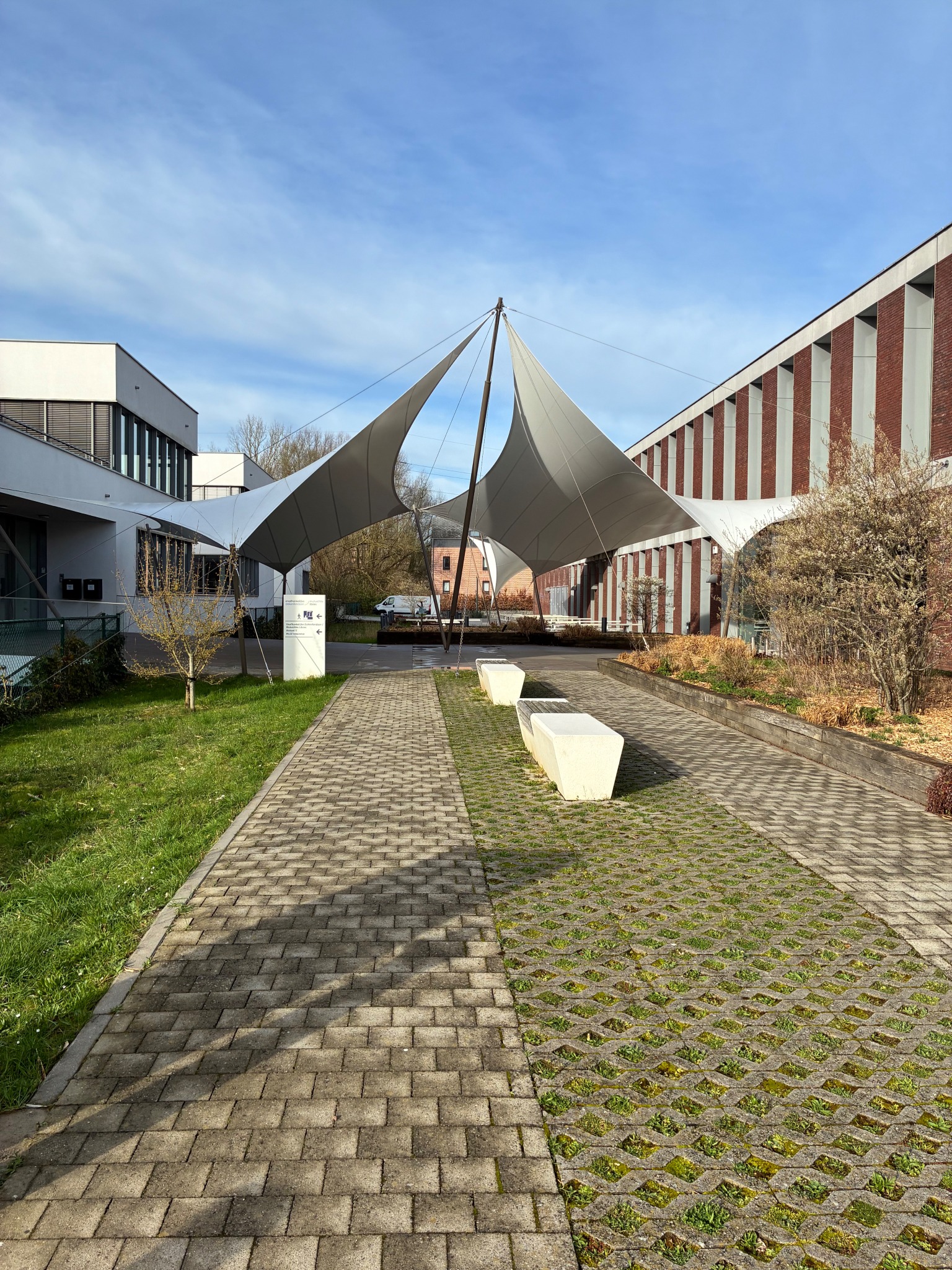 formation cancer et retour au travail