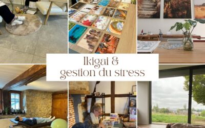 ✨ 𝐄𝐧𝐯𝐢𝐞 𝐝𝐞 𝐬𝐨𝐮𝐟𝐟𝐥𝐞𝐫, 𝐝𝐞 𝐯𝐨𝐮𝐬 𝐫𝐞𝐜𝐞𝐧𝐭𝐫𝐞𝐫 𝐞𝐭 𝐝𝐞 𝐫𝐞𝐭𝐫𝐨𝐮𝐯𝐞𝐫 𝐯𝐨𝐭𝐫𝐞 𝐞́𝐪𝐮𝐢𝐥𝐢𝐛𝐫𝐞 ? ✨