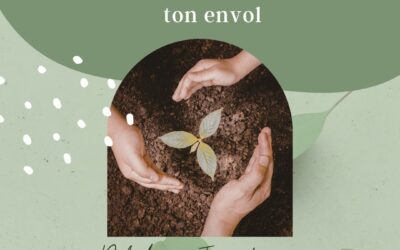 𝘾𝙤𝙖𝙘𝙝𝙞𝙣𝙜 100% 𝙨𝙪𝙗𝙨𝙞𝙙𝙞𝙚́ 𝙥𝙖𝙧 𝙡𝙖 𝙍𝙚́𝙜𝙞𝙤𝙣 𝙬𝙖𝙡𝙡𝙤𝙣𝙣𝙚 – 15𝙝 𝙥𝙤𝙪𝙧 𝙛𝙖𝙞𝙧𝙚 𝙙𝙚́𝙘𝙤𝙡𝙡𝙚𝙧 𝒕𝒐𝒏 𝙥𝙧𝙤𝙟𝙚𝙩 !