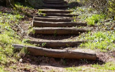 Reconstruction après un épuisement: cas réel et retour du terrain