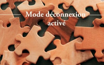 Mode déconnexion activé